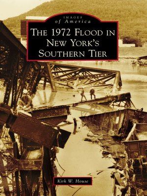 cover image of The 1972 Flood in New York's Southern Tier
